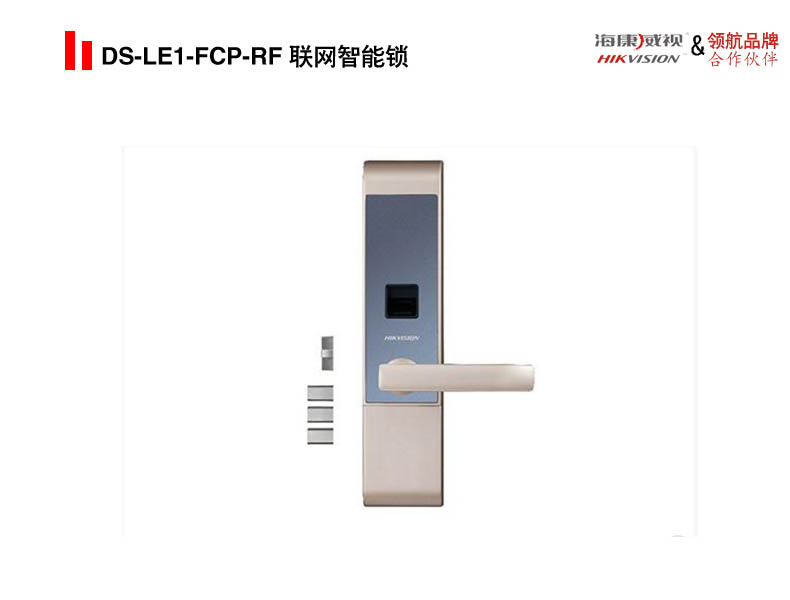 DS-LE1-FCP-RF 联网智能锁